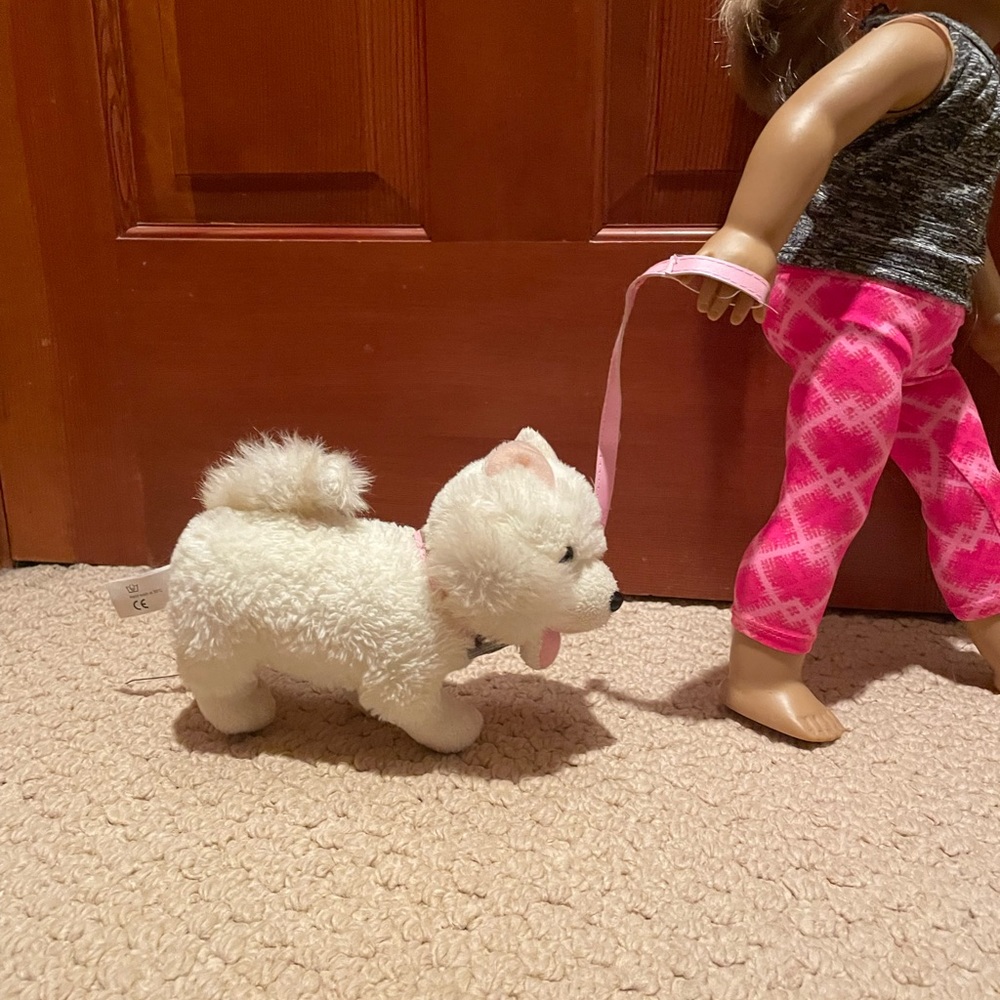 American girl, doll dog.